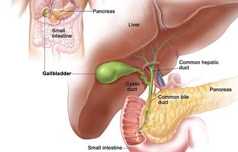 best-gallbladder-surgeon-in-kolkata